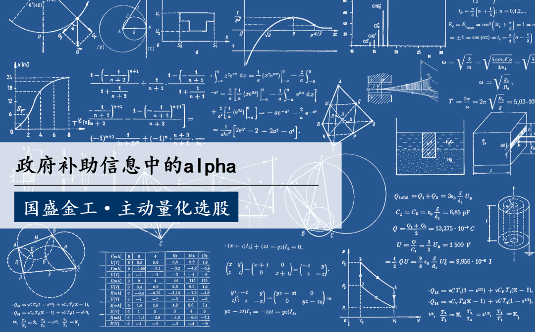 量化专题 | 政府补助信息中的alpha